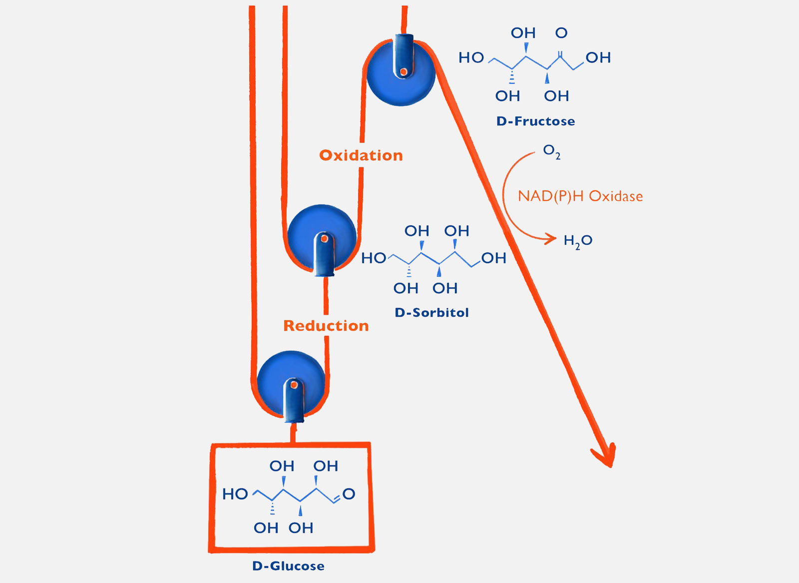 Redox-Biocatalysis-Technology-Annikki-Austria